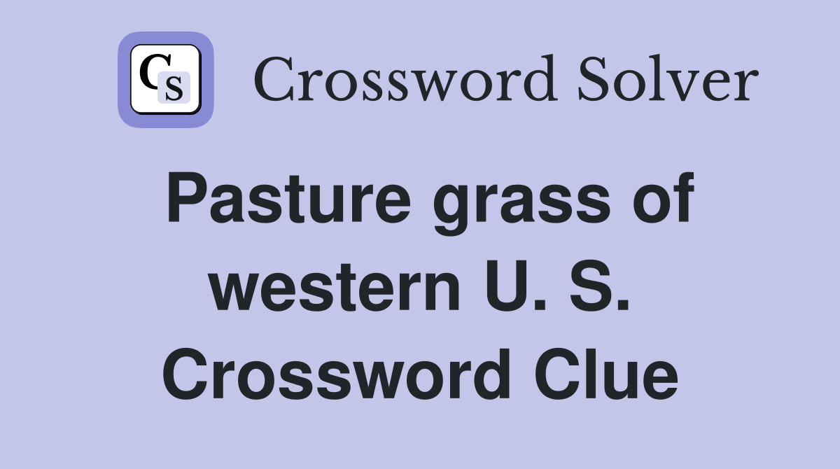 Pasture grass of western U. S. Crossword Clue