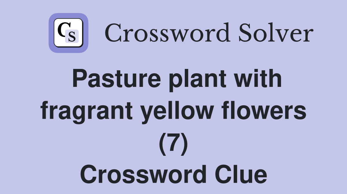 Pasture plant with fragrant yellow flowers (7) Crossword Clue