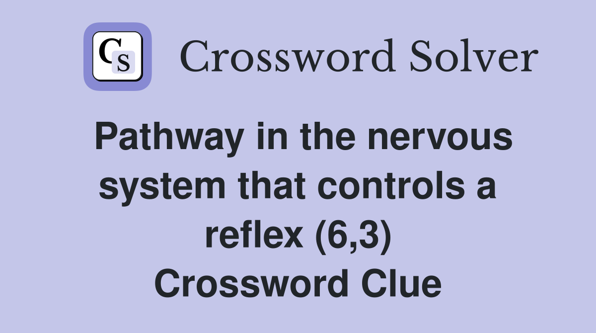 Pathway in the nervous system that controls a reflex (6,3) Crossword Clue