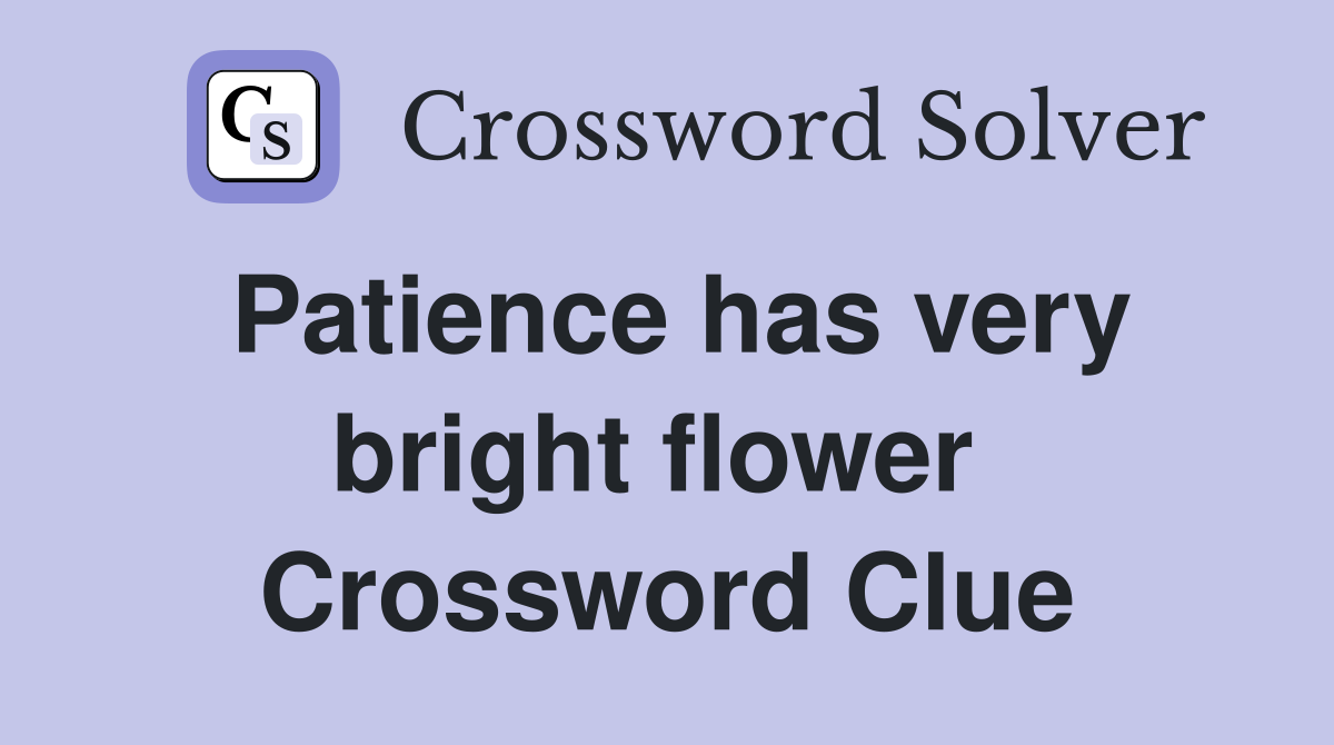 Patience has very bright flower  Crossword Clue