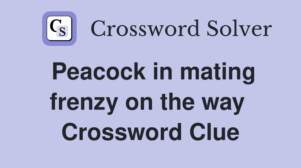 Peacock in mating frenzy on the way  Crossword Clue