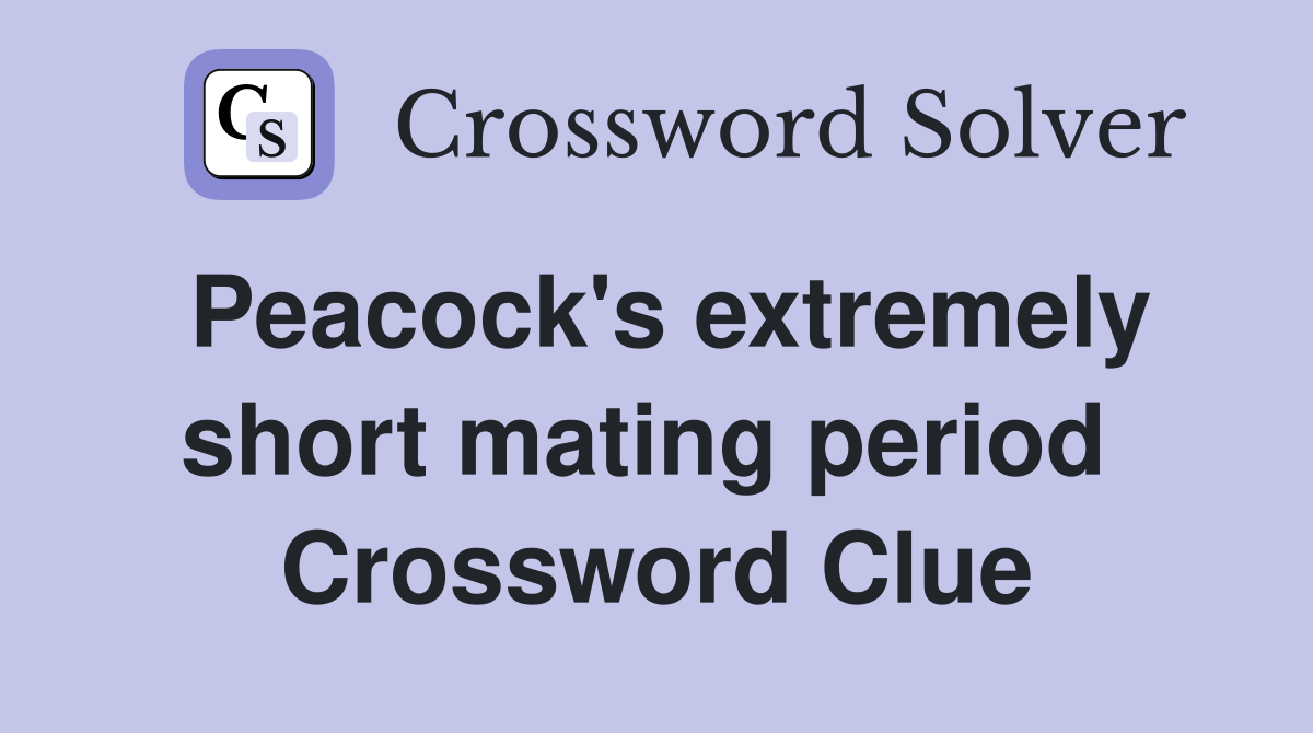 Peacock's extremely short mating period  Crossword Clue