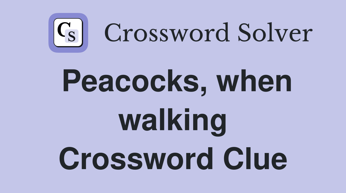 Peacocks, when walking Crossword Clue