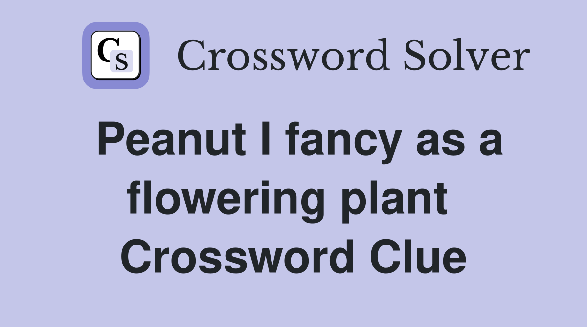 Peanut I fancy as a flowering plant  Crossword Clue