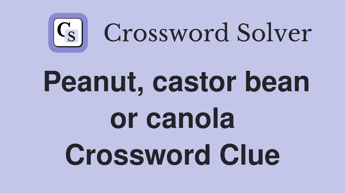 Peanut, castor bean or canola Crossword Clue