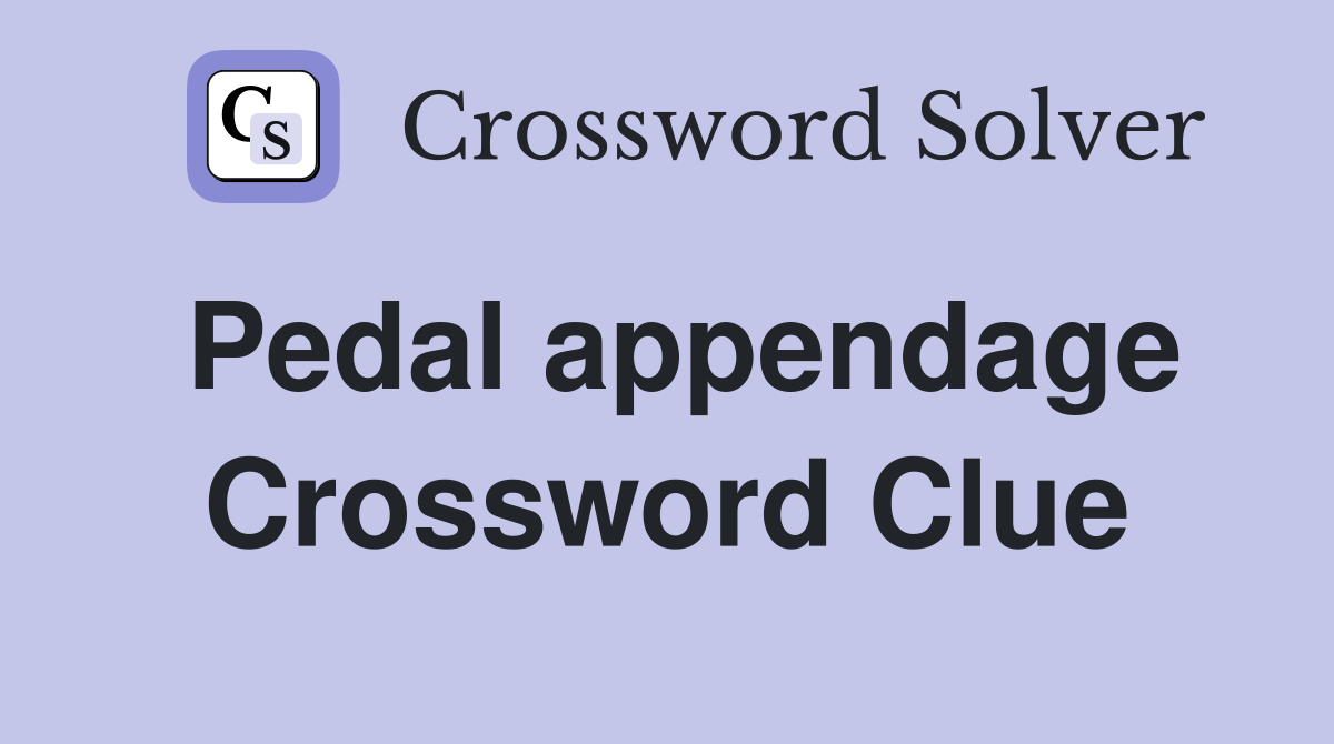 Pedal appendage Crossword Clue