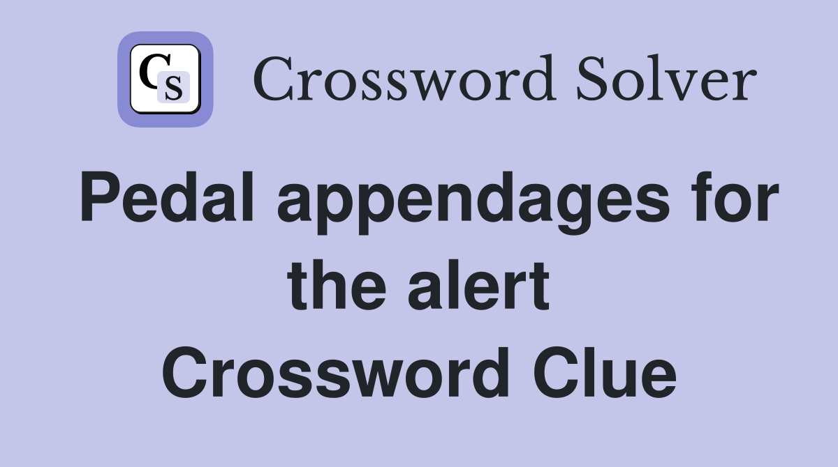 Pedal appendages for the alert Crossword Clue