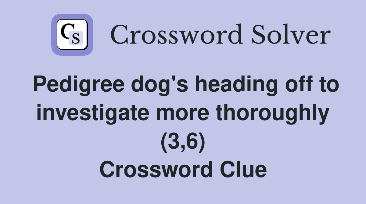Pedigree dog's heading off to investigate more thoroughly (3,6) Crossword Clue