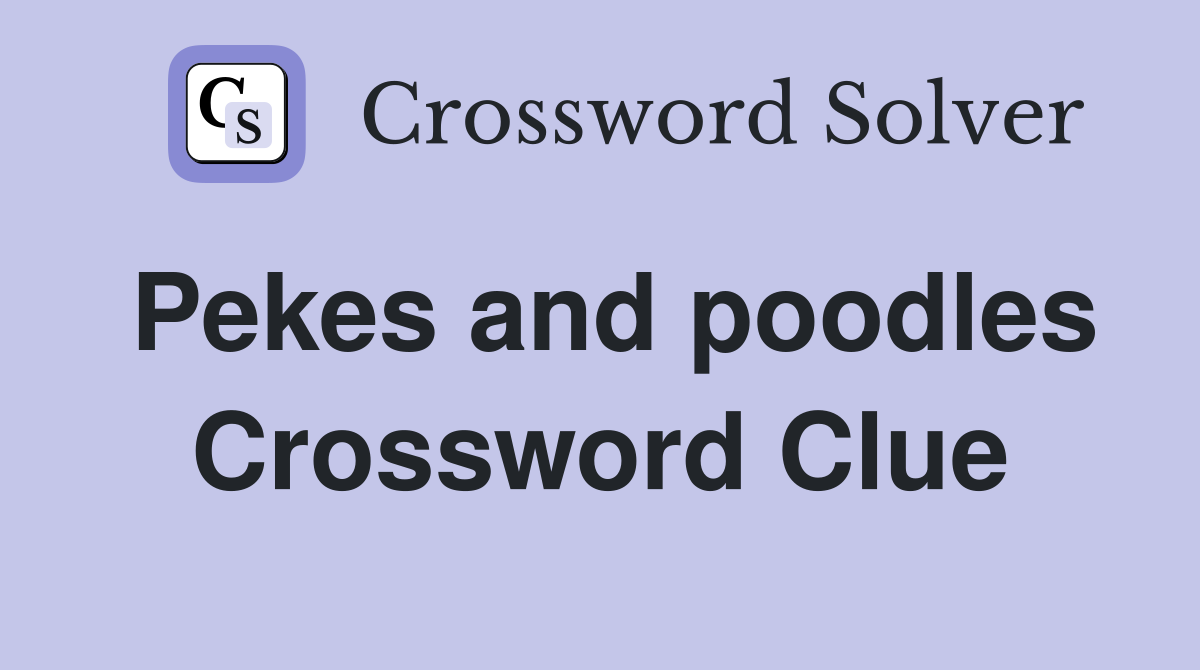 Pekes and poodles Crossword Clue