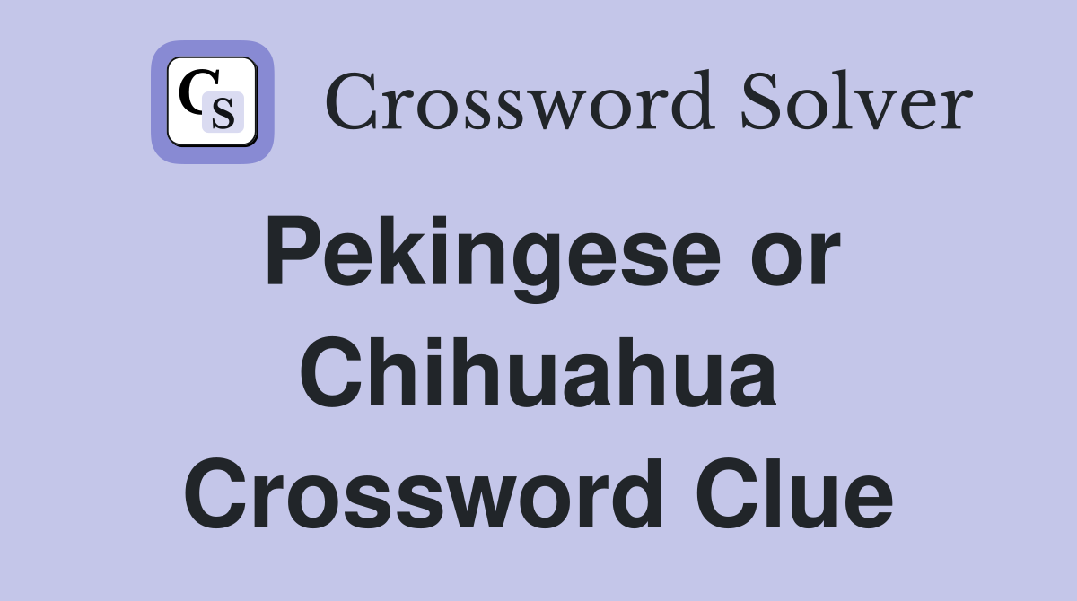 Pekingese or Chihuahua Crossword Clue