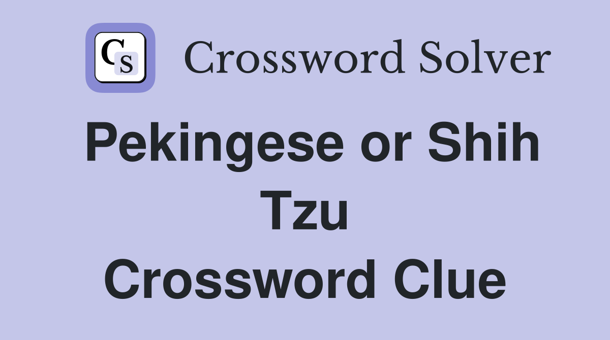 Pekingese or Shih Tzu Crossword Clue