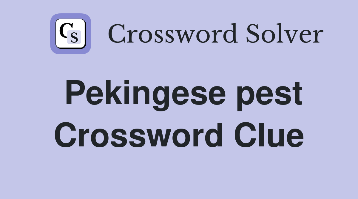 Pekingese pest Crossword Clue