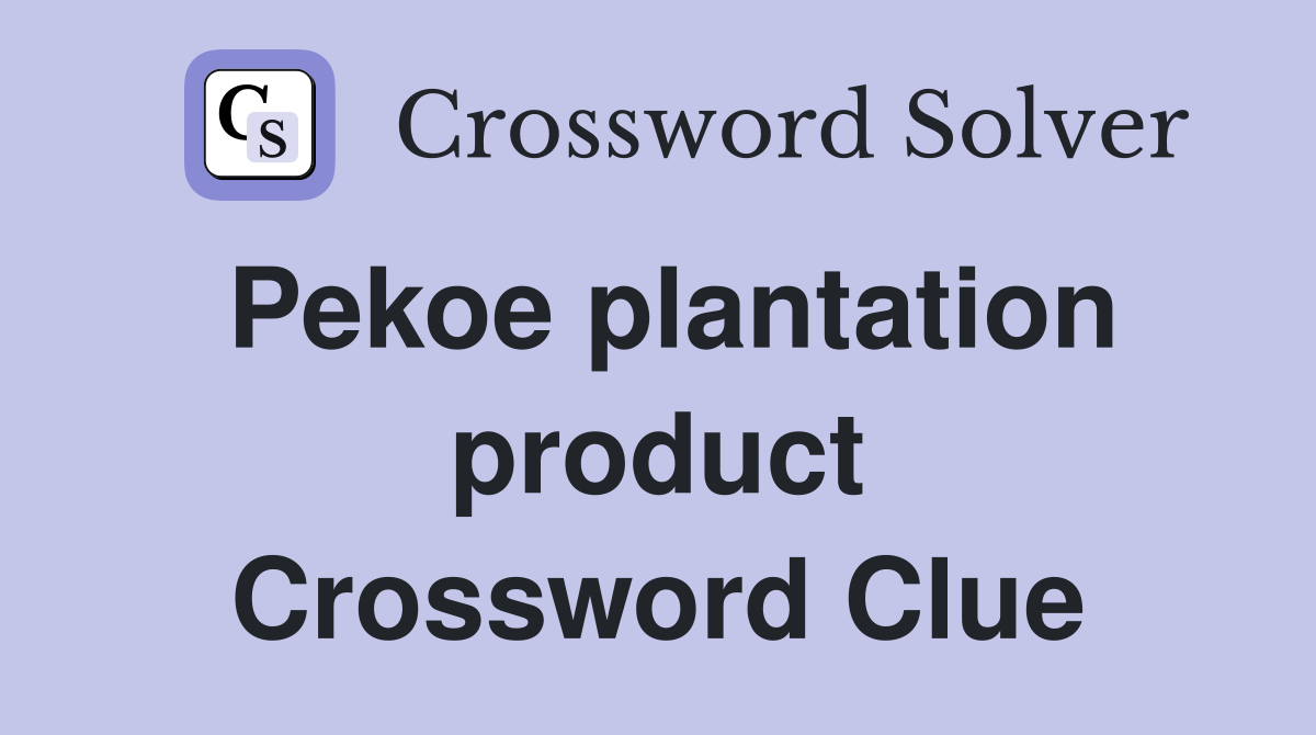 Pekoe plantation product Crossword Clue