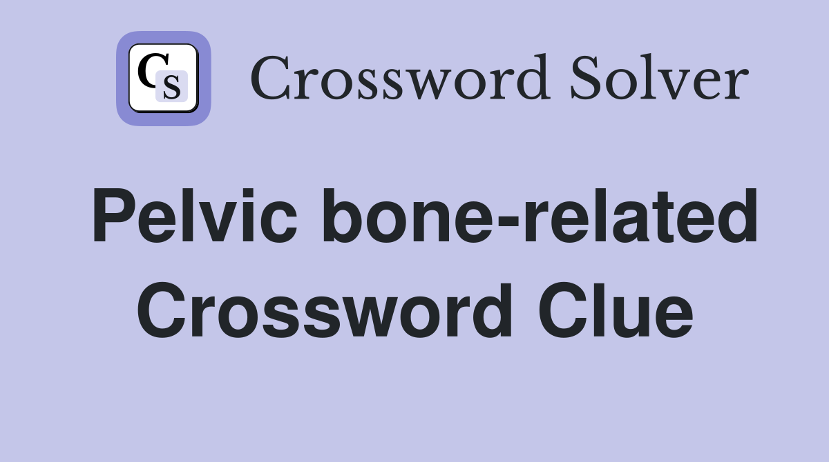 Pelvic bone-related Crossword Clue