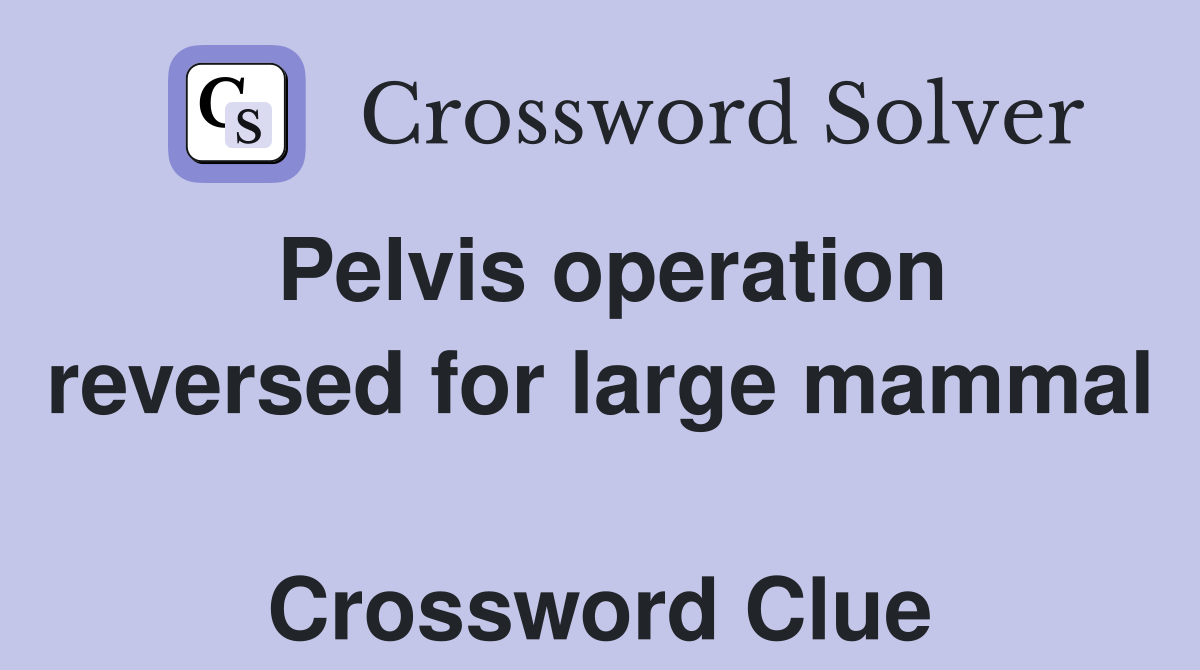 Pelvis operation reversed for large mammal  Crossword Clue