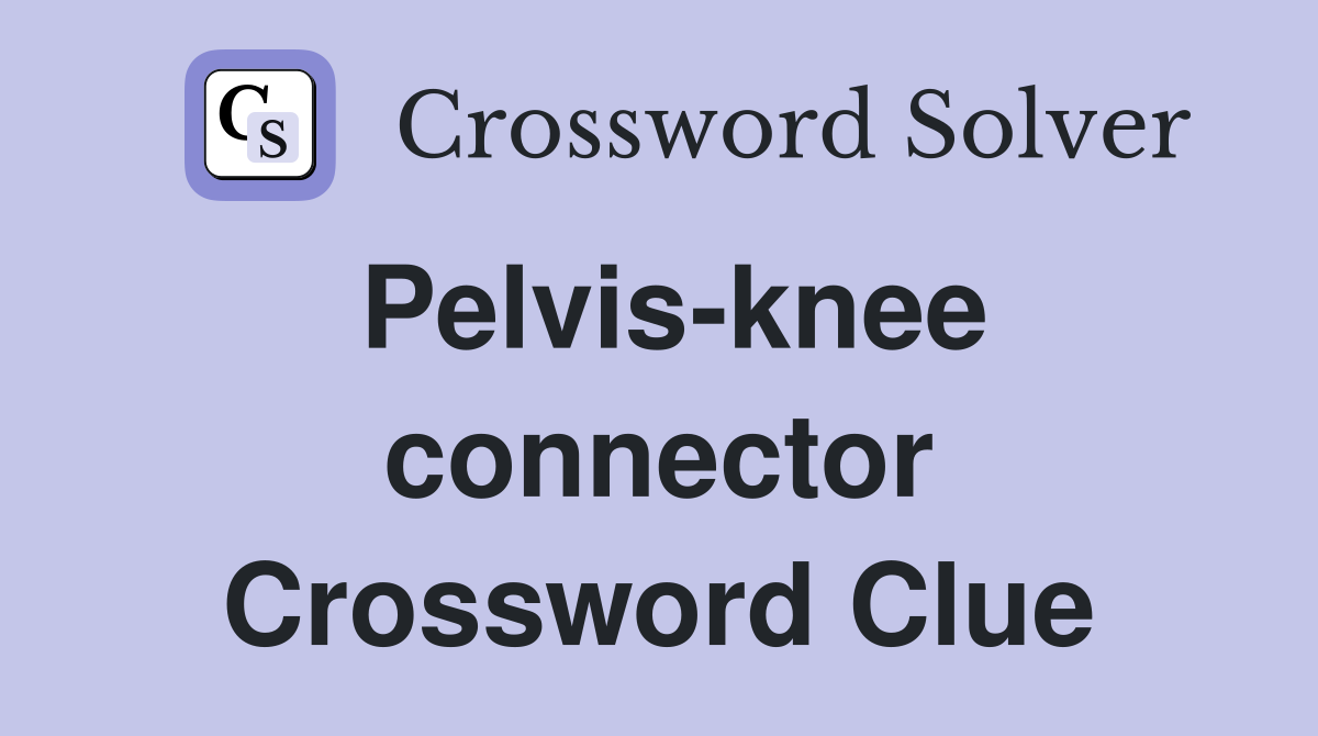Pelvis-knee connector Crossword Clue