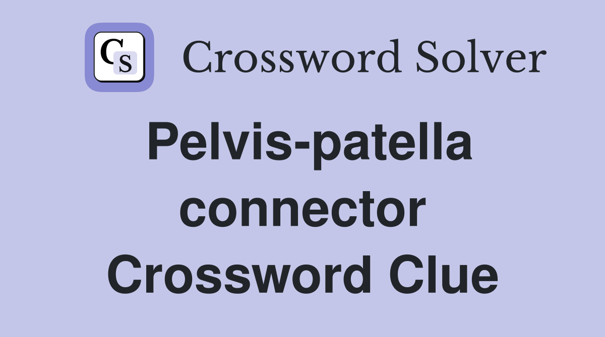Pelvis-patella connector Crossword Clue