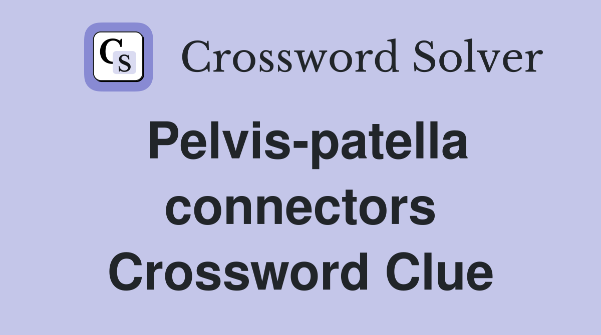 Pelvis-patella connectors Crossword Clue