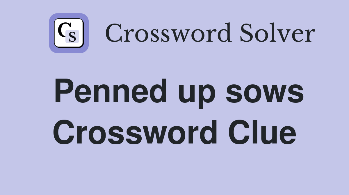 Penned up sows Crossword Clue