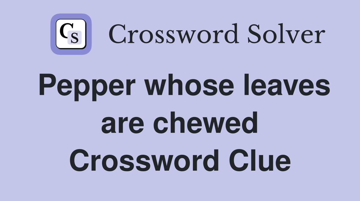 Pepper whose leaves are chewed Crossword Clue
