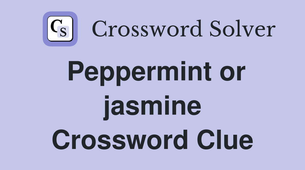Peppermint or jasmine Crossword Clue