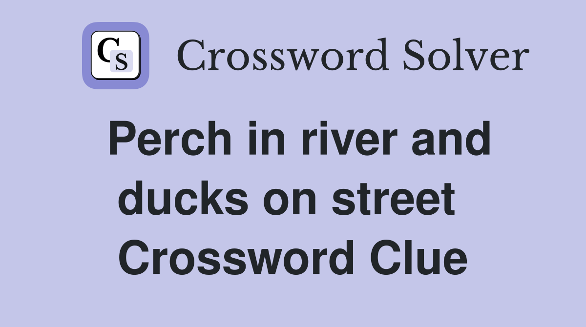 Perch in river and ducks on street  Crossword Clue