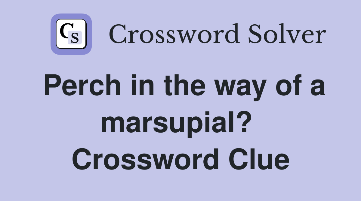 Perch in the way of a marsupial?  Crossword Clue
