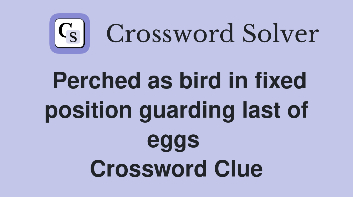 Perched as bird in fixed position guarding last of eggs  Crossword Clue