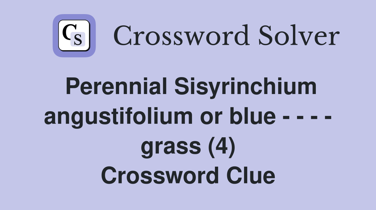 Perennial Sisyrinchium angustifolium or blue - - - - grass (4) Crossword Clue