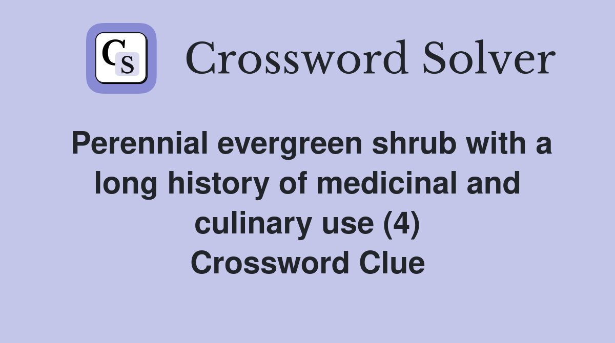 Perennial evergreen shrub with a long history of medicinal and culinary use (4) Crossword Clue
