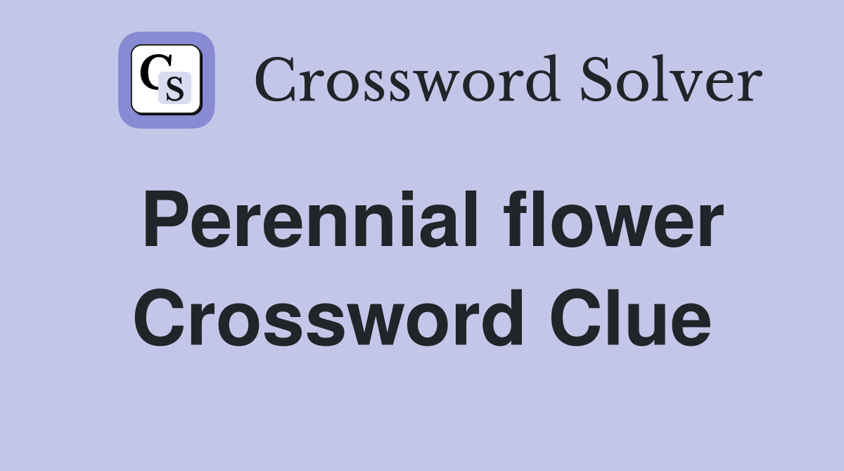 Perennial flower Crossword Clue