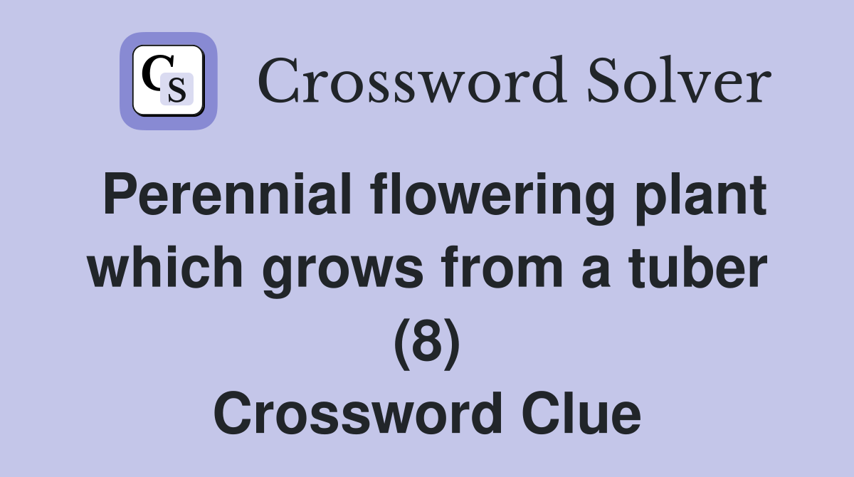 Perennial flowering plant which grows from a tuber (8) Crossword Clue