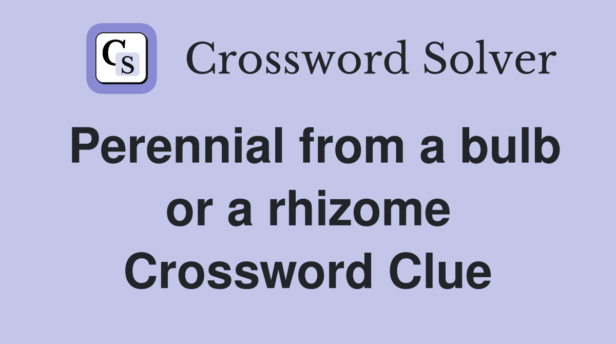 Perennial from a bulb or a rhizome Crossword Clue