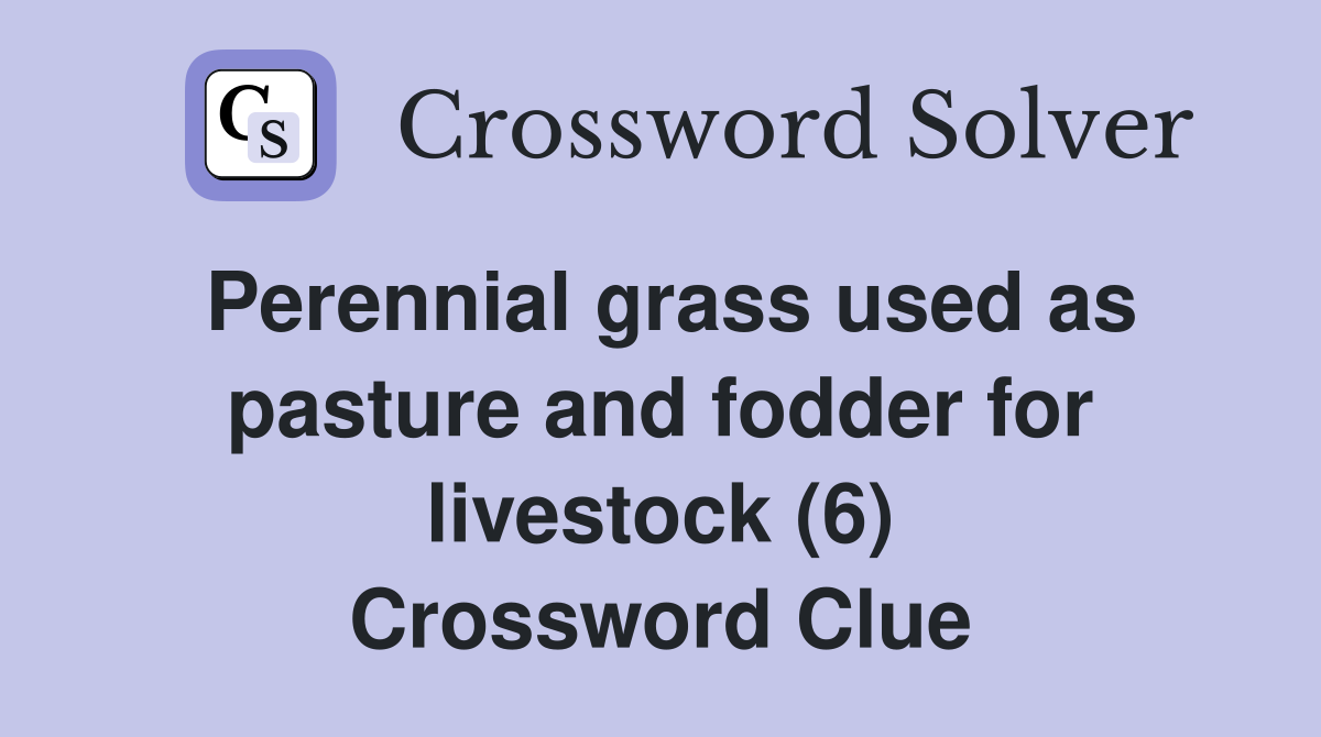 Perennial grass used as pasture and fodder for livestock (6) Crossword Clue