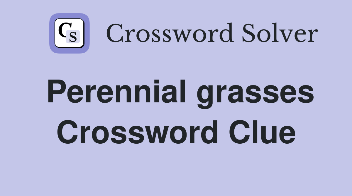 Perennial grasses Crossword Clue