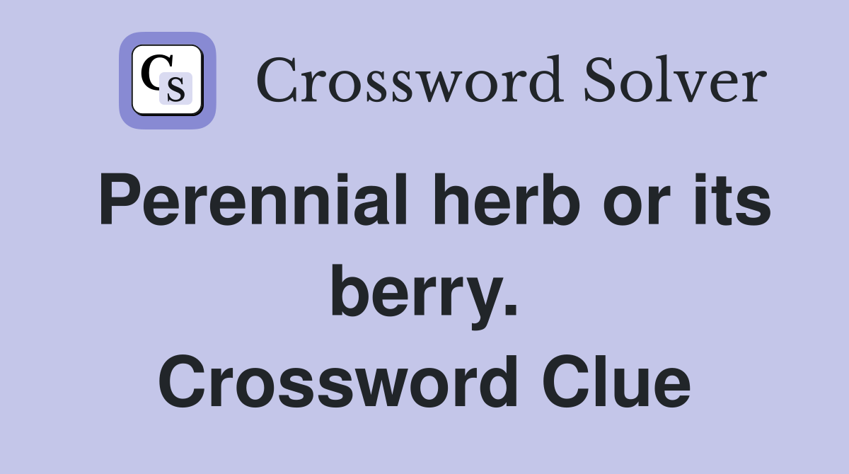 Perennial herb or its berry. Crossword Clue