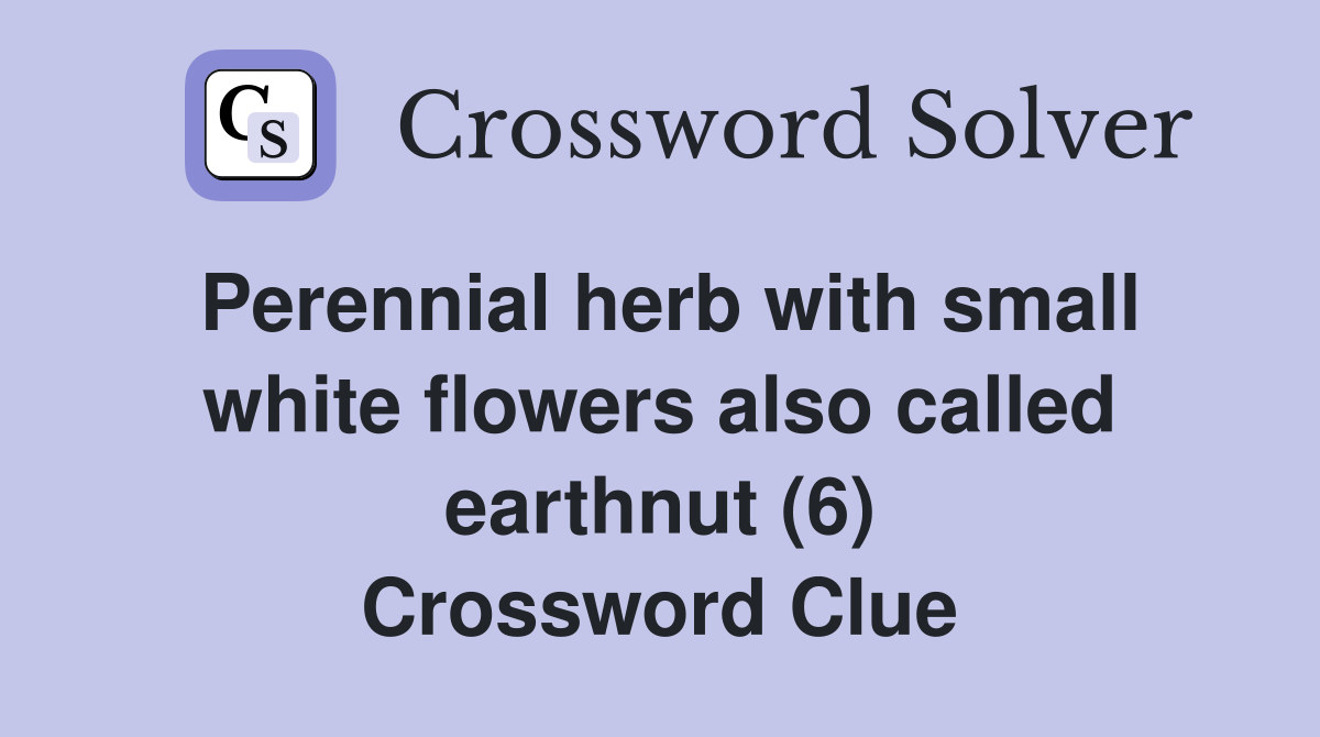 Perennial herb with small white flowers also called earthnut (6) Crossword Clue