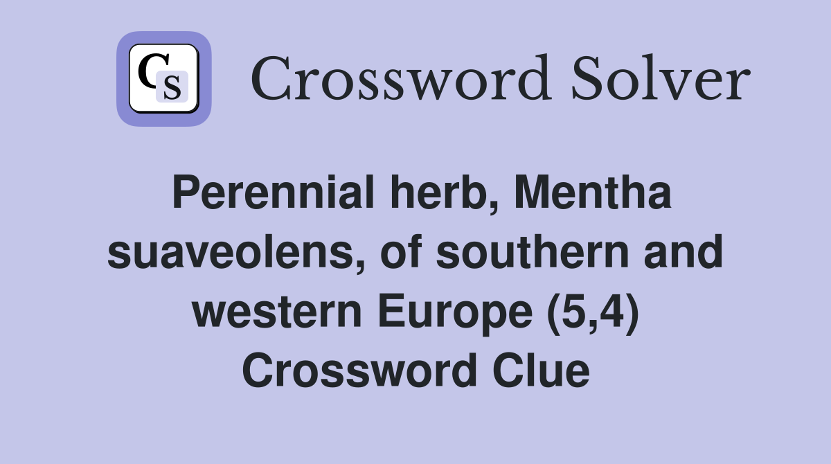Perennial herb, Mentha suaveolens, of southern and western Europe (5,4) Crossword Clue