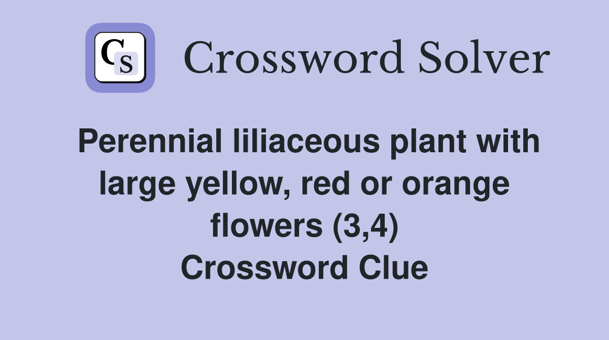 Perennial liliaceous plant with large yellow, red or orange flowers (3,4) Crossword Clue