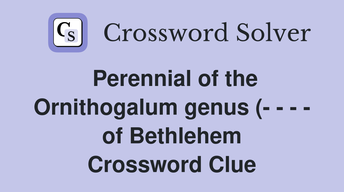 Perennial of the Ornithogalum genus ( of Bethlehem) (4 Perennial of the Ornithogalum genus ( of Bethlehem) (4