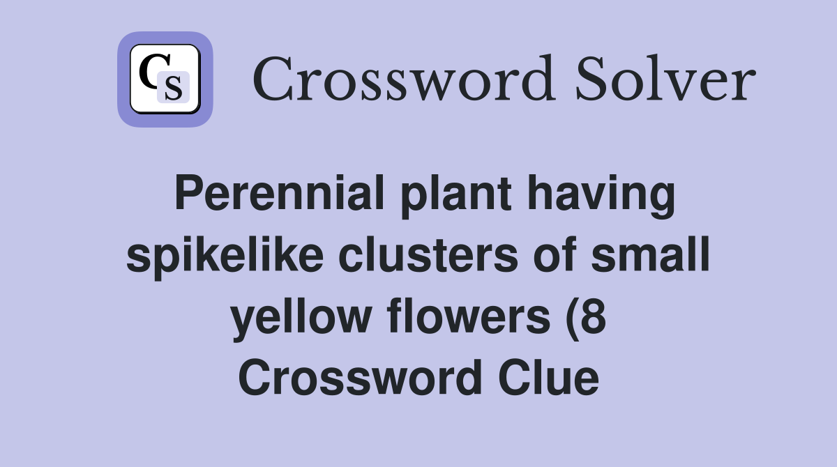 Perennial plant having spikelike clusters of small yellow flowers (8 Perennial plant having spikelike clusters of small yellow flowers (8