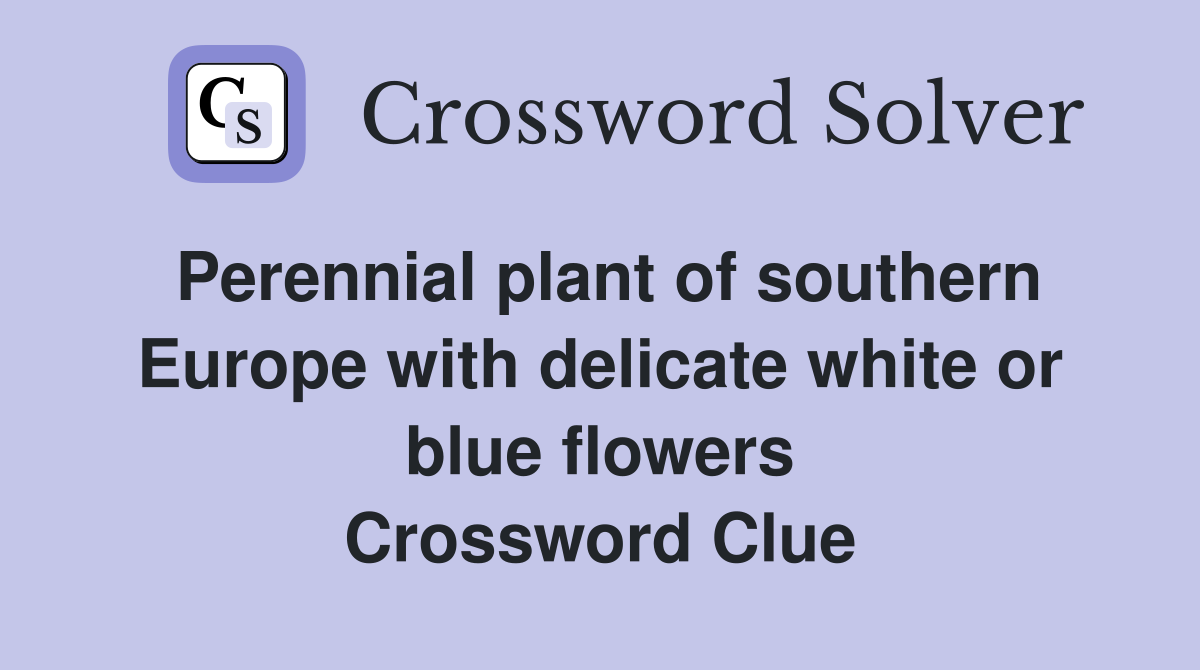 Perennial plant of southern Europe with delicate white or blue flowers Crossword Clue