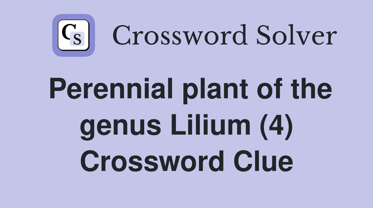 Perennial plant of the genus Lilium (4) Crossword Clue