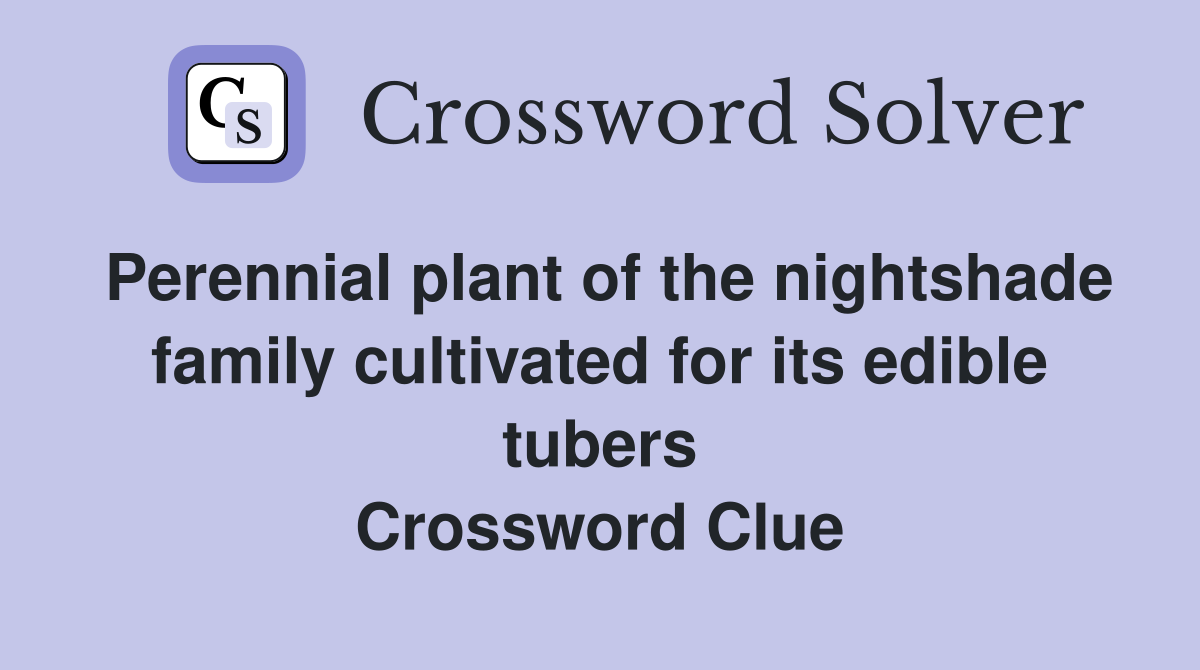 Perennial plant of the nightshade family cultivated for its edible tubers Crossword Clue