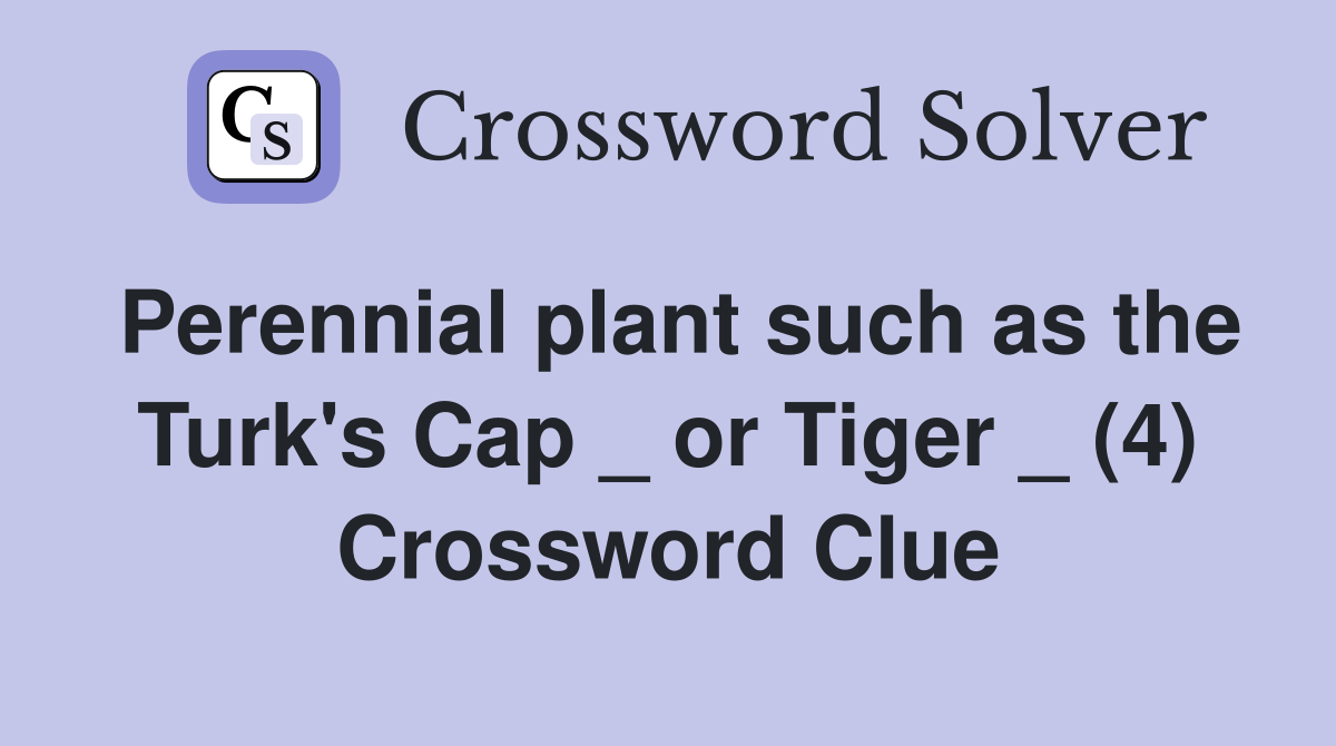 Perennial plant such as the Turk's Cap _ or Tiger _ (4) Crossword Clue