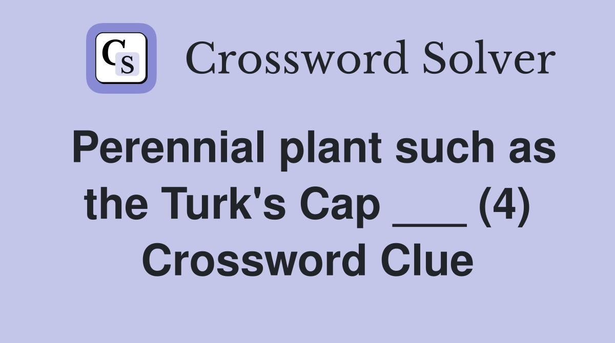 Perennial plant such as the Turk's Cap ___ (4) Crossword Clue