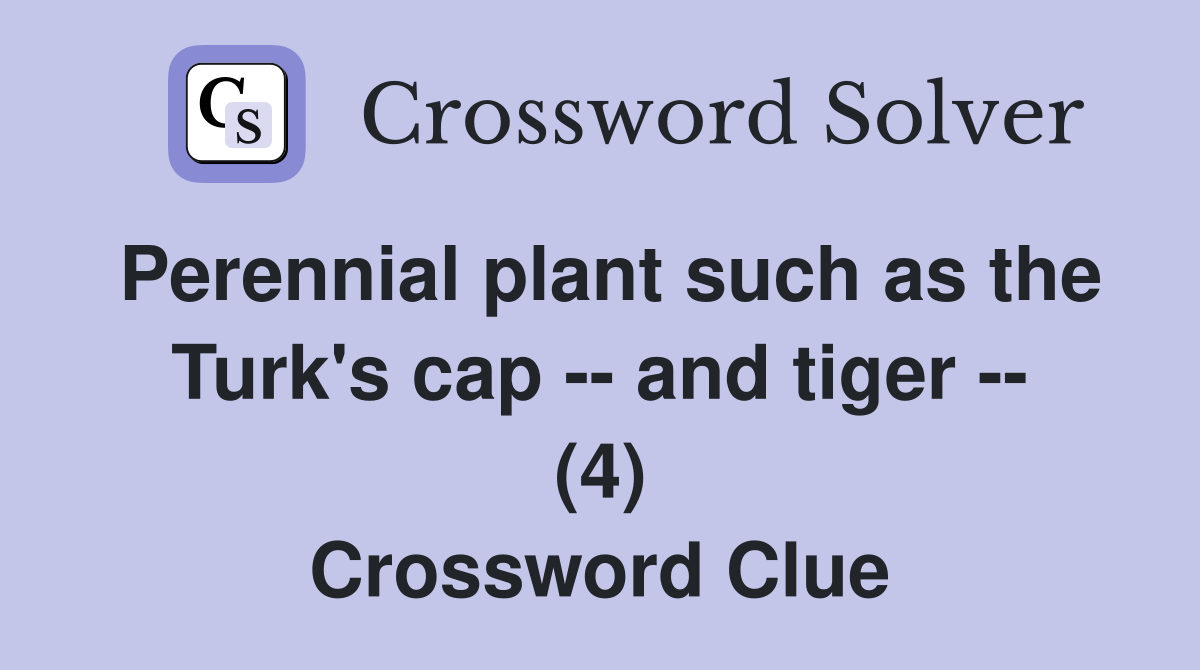 Perennial plant such as the Turk's cap -- and tiger -- (4) Crossword Clue