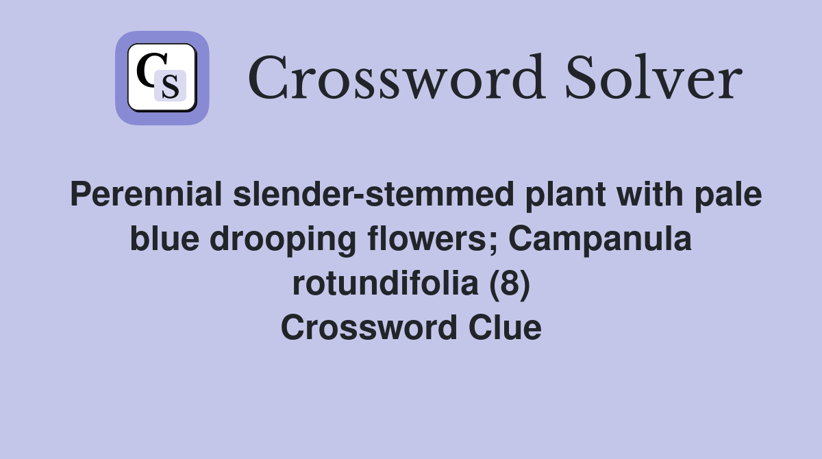 Perennial slender-stemmed plant with pale blue drooping flowers; Campanula rotundifolia (8) Crossword Clue