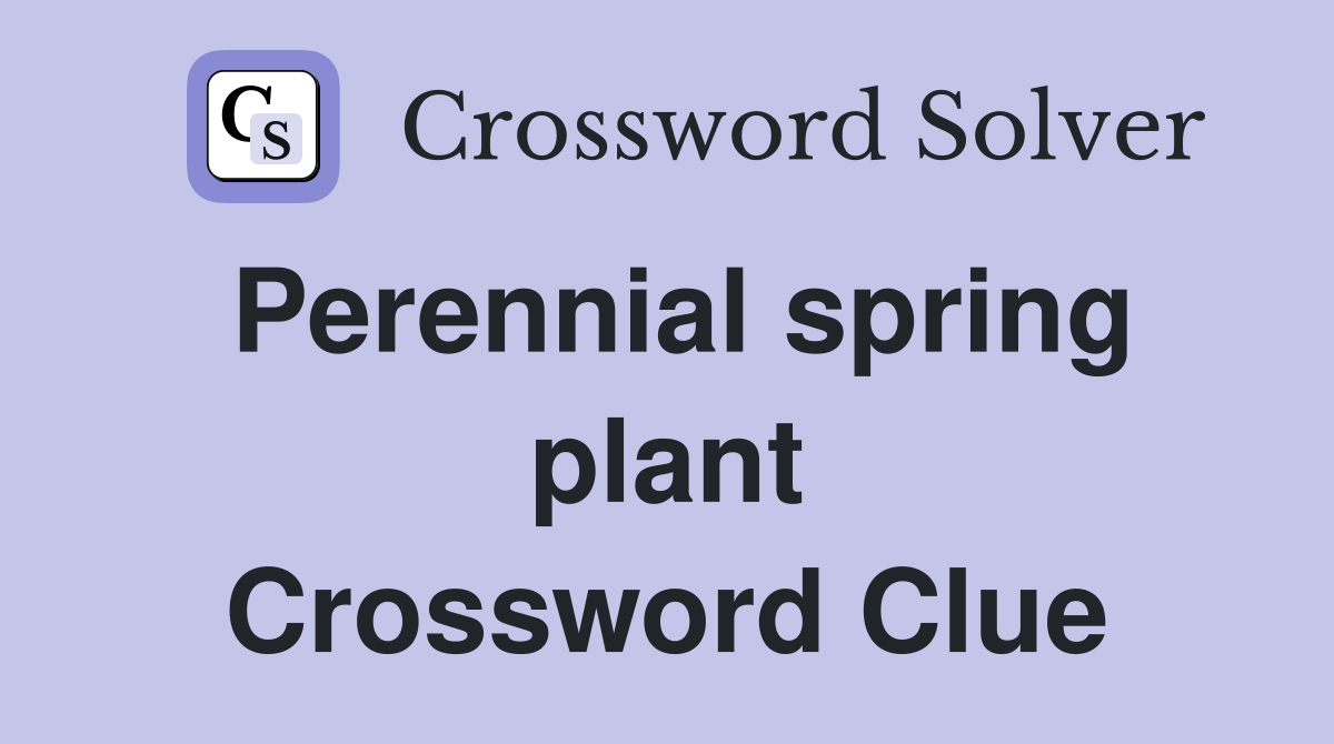 Perennial spring plant Crossword Clue