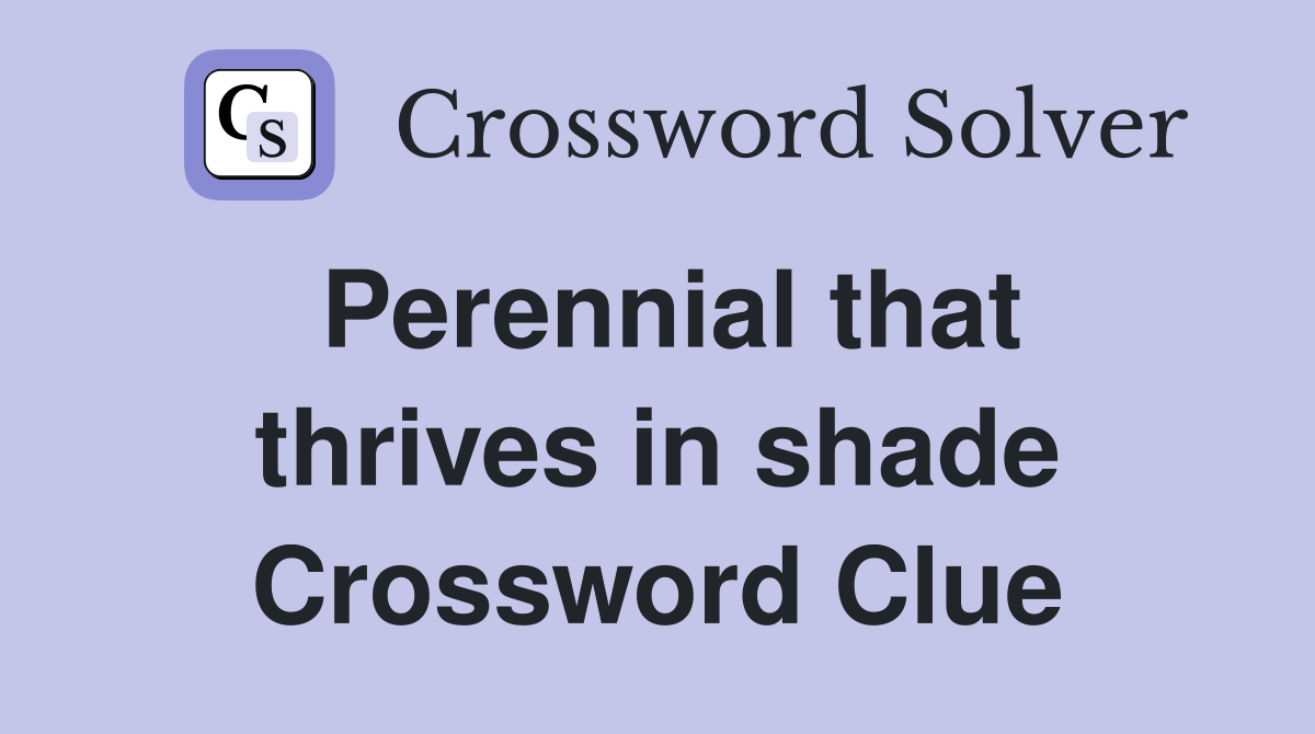 Perennial that thrives in shade Crossword Clue